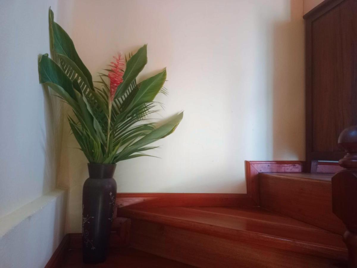 شقة Badamier Self-Catering لا ديج المظهر الخارجي الصورة